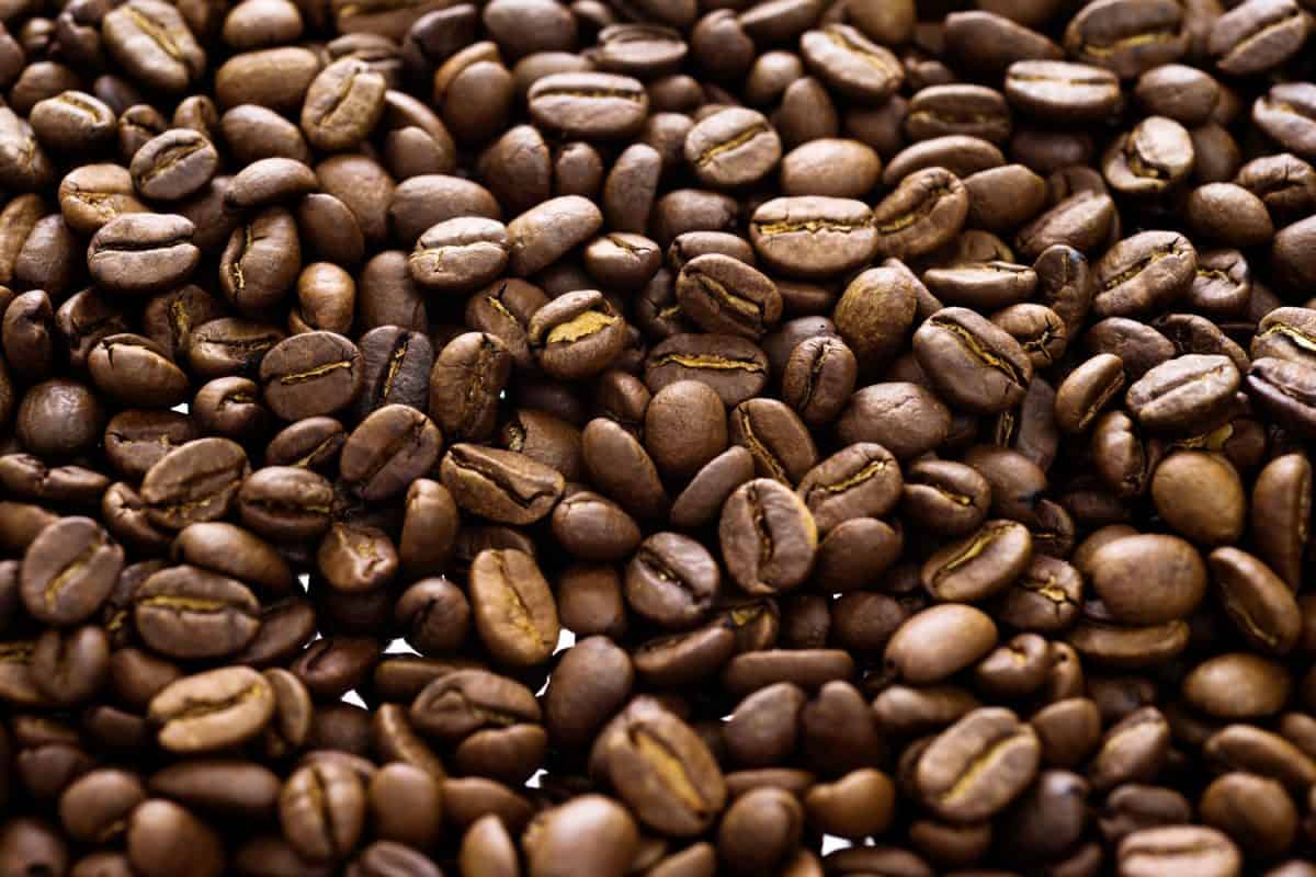 An up close photo of roasted coffee beans