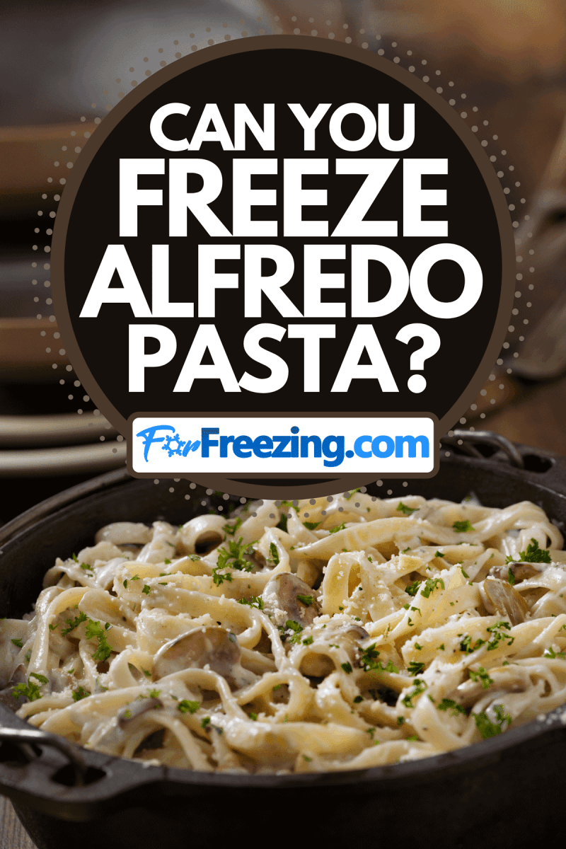 One pot of creamy mushroom Fettuccine Alfredo, Can You Freeze Alfredo Pasta?