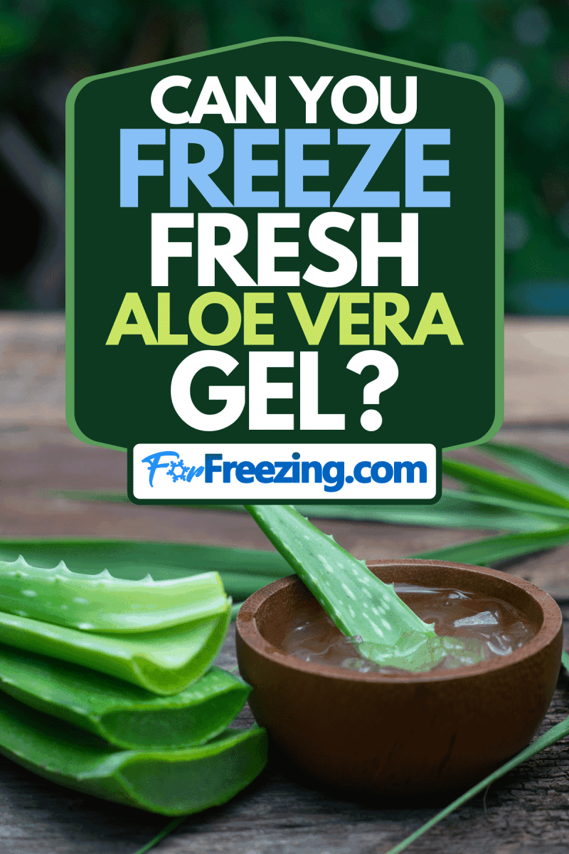 Fresh aloe vera stems and gel on wooden table, Can You Freeze Fresh Aloe Vera Gel?