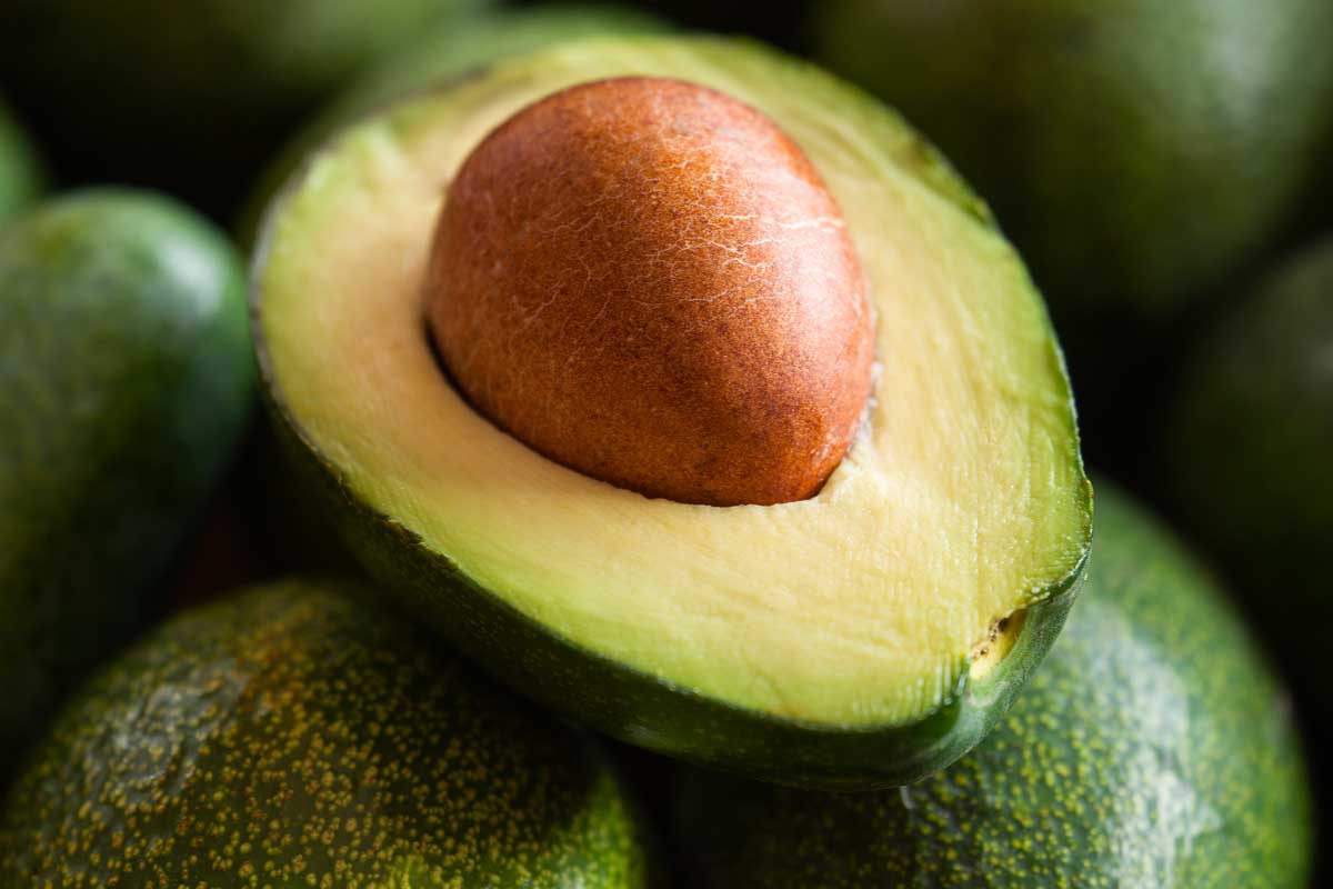 Close up view of halves of an avocado, Can You Freeze Whole Avocados?