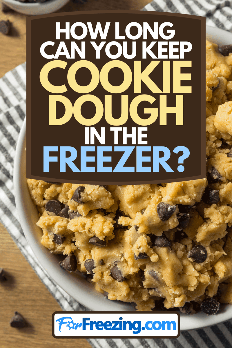 Homemade chocolate chip cookie dough, How Long Can You Keep Cookie Dough In The Freezer?