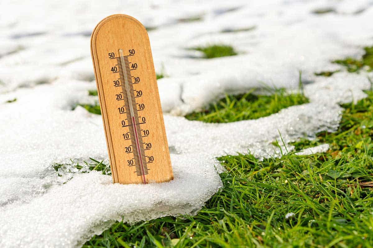 Mercury wooden thermometer in melting snow and growing green grass on a sunny day, Does Snow Melt Above Freezing?