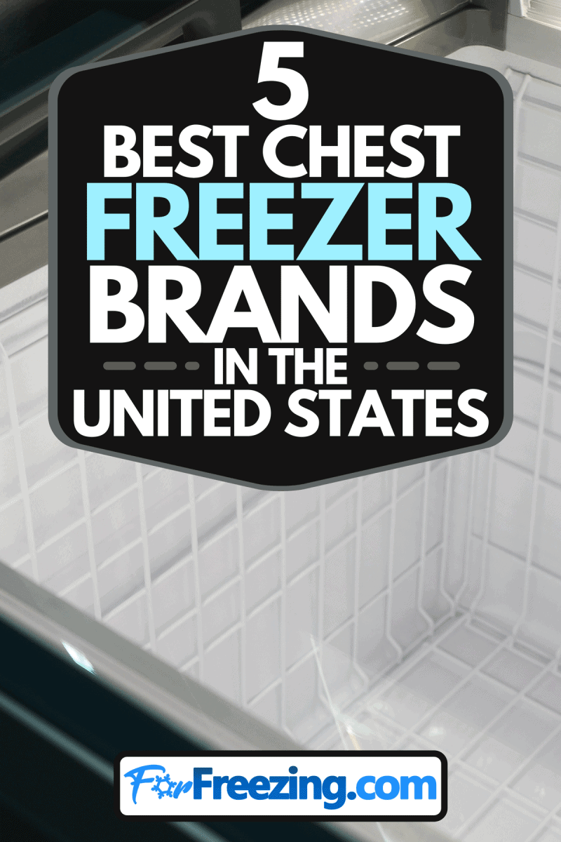 A close up of an empty deep freezer, 5 Best Chest Freezer Brands In The US
