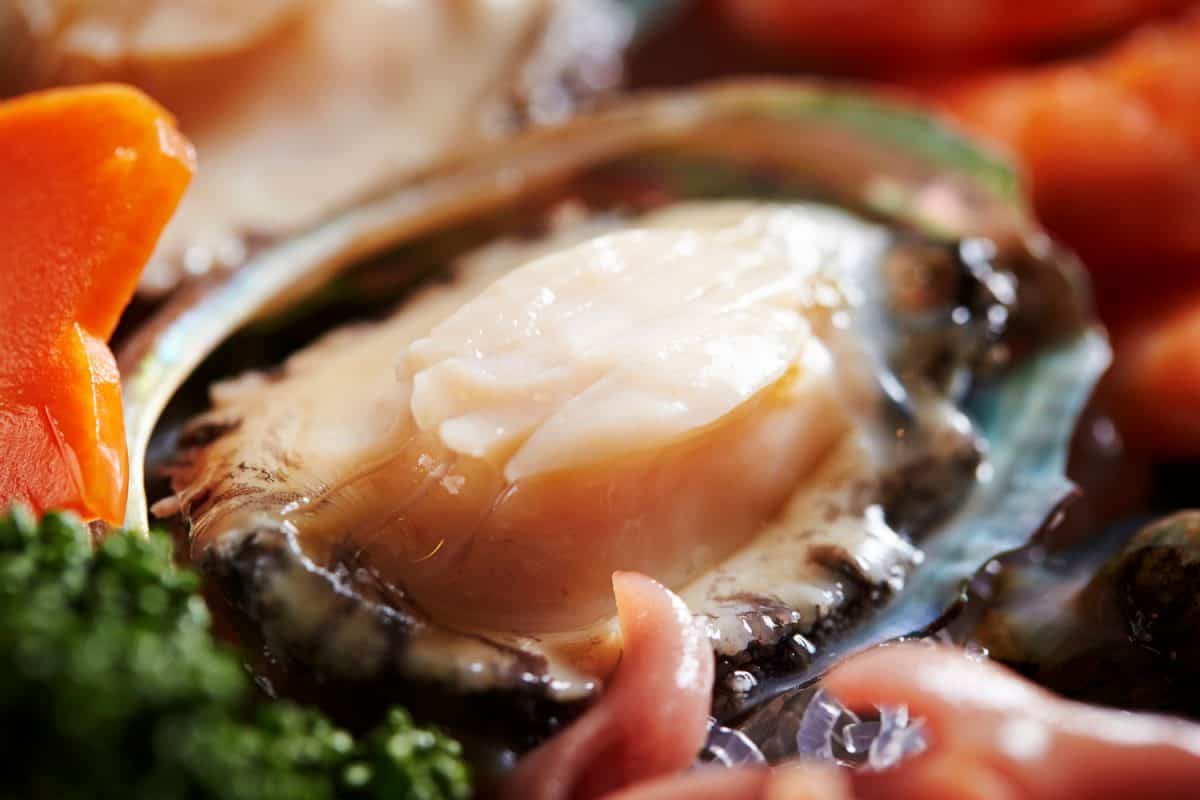 A close up photo of delicious abalone dish