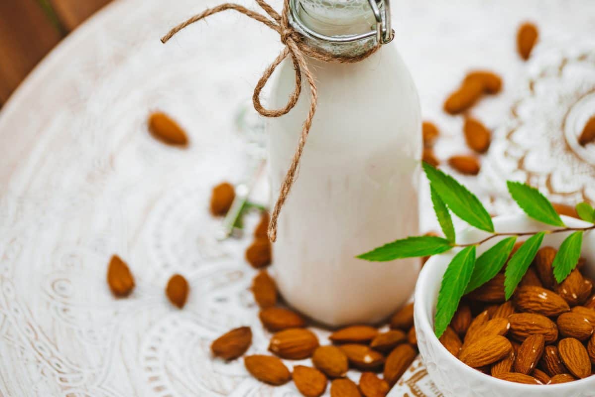 Almond Milk as a Milk Alternative and Substitute is getting more and more popular, not just for a vegan and plant based diet