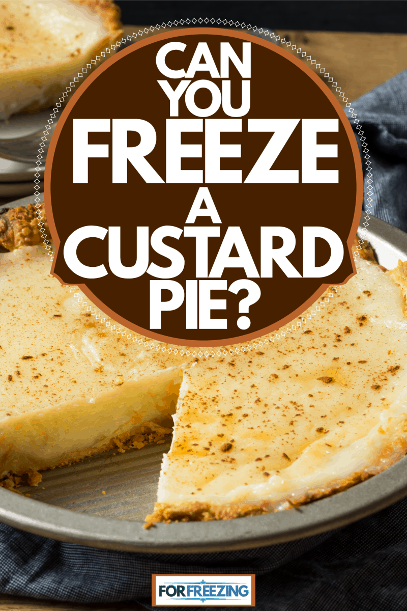 Delicious custard pie on a stainless steel container, Can You Freeze A Custard Pie?
