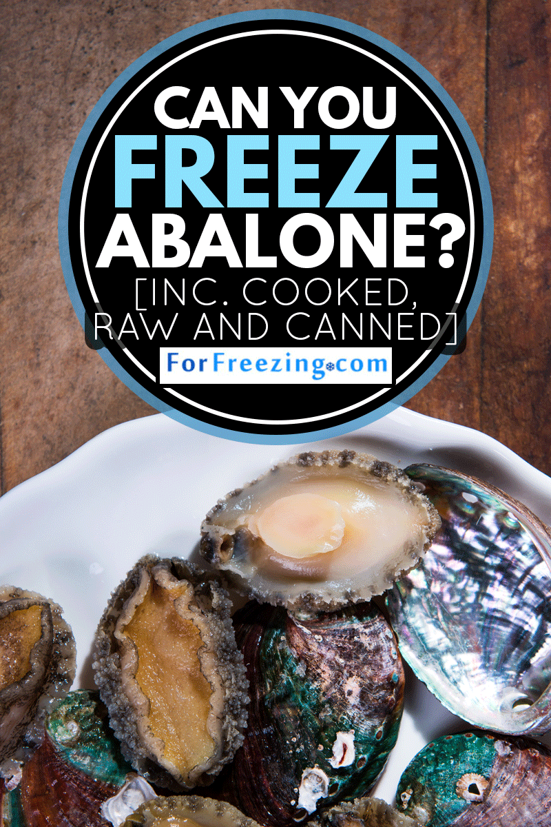 Abalone meat and shell on a white plate, Can You Freeze Abalone? [Inc. Cooked, Raw And Canned]