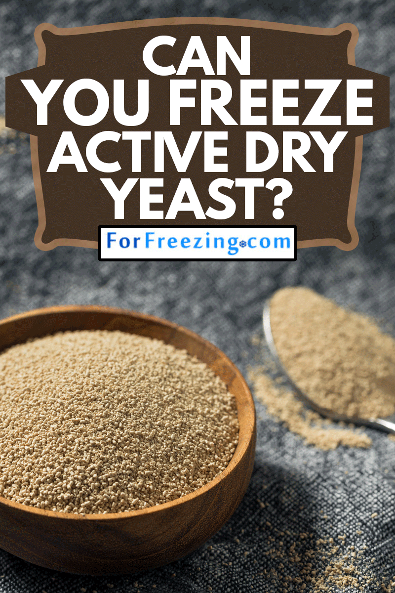 Dry Organic Active Dry Yeast in a Bowl, Can You Freeze Active Dry Yeast?