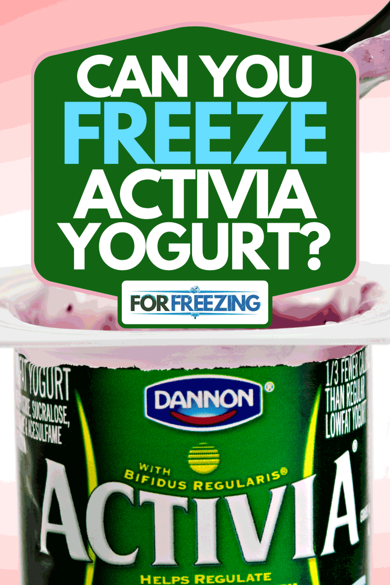 A blueberry flavored Activia light from a green 4 OZ plastic container, Can You Freeze Activia Yogurt?