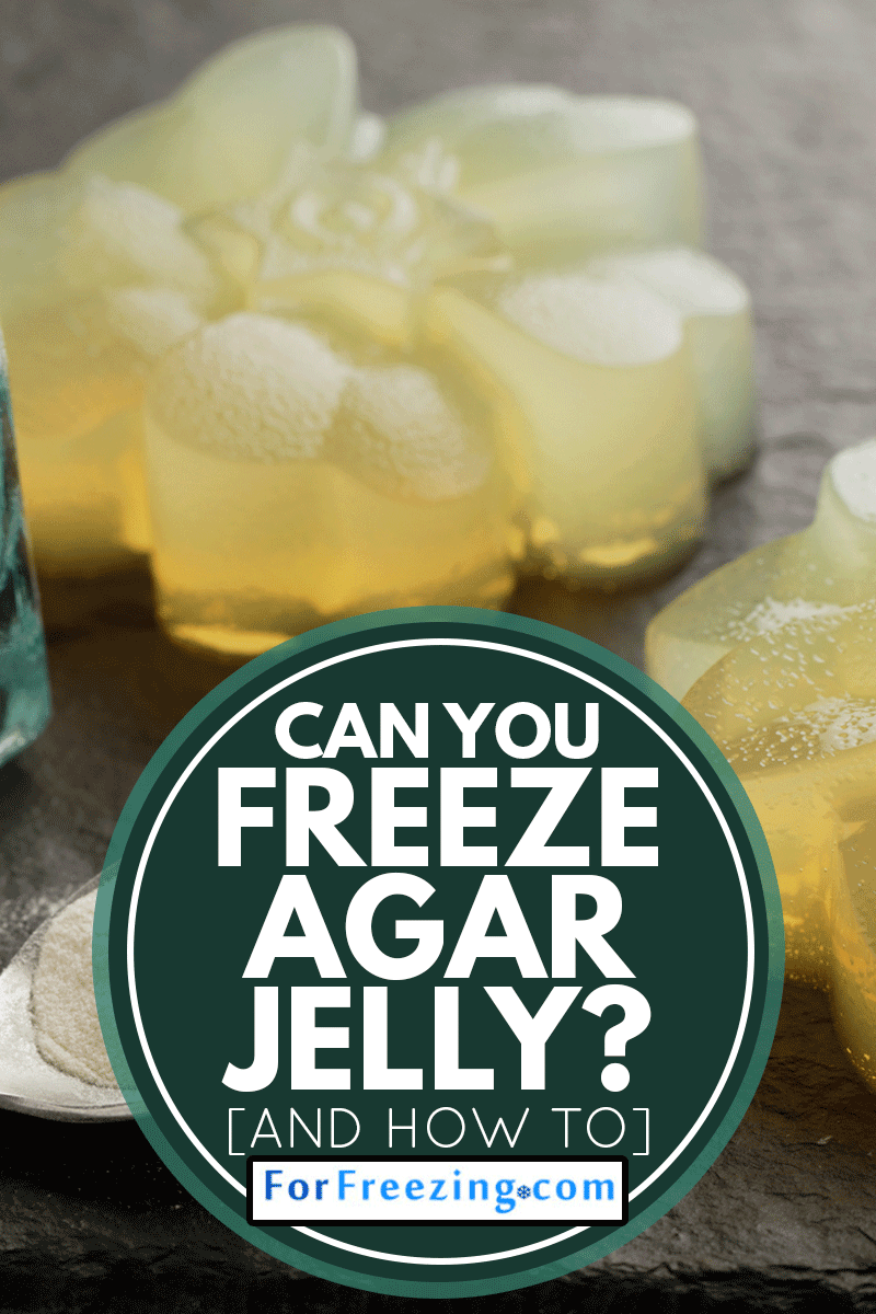 Agar agar citrus jelly dessert closeup, Can You Freeze Agar Jelly? [And How To]