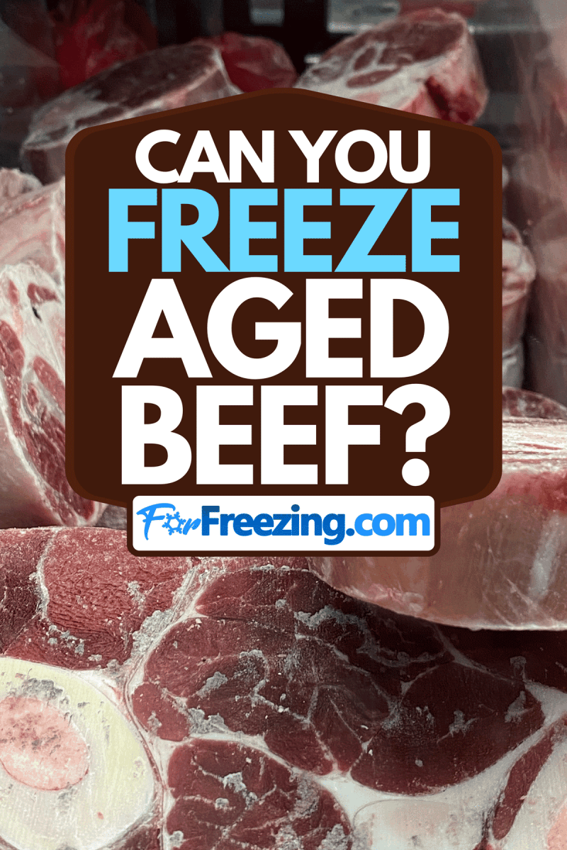 Aged steaks on a freezer, Can You Freeze Aged Beef?
