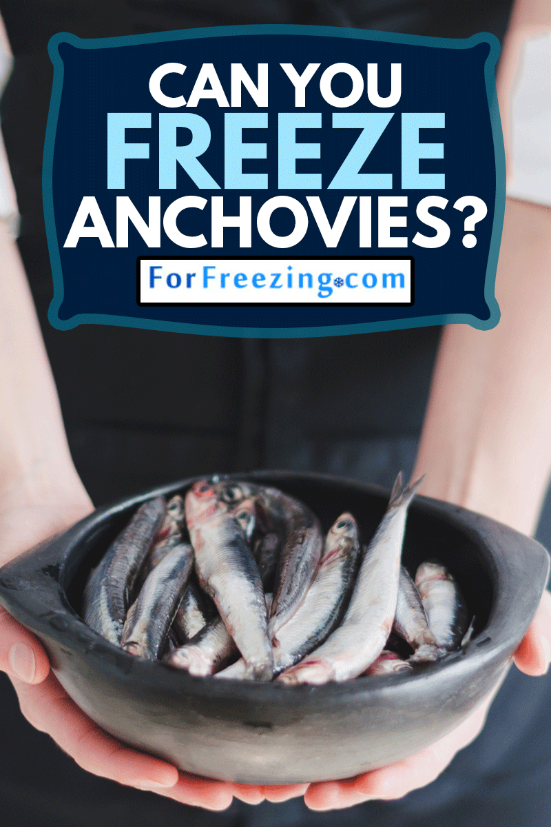 Fresh anchovies in black ceramic bowl over chef's hands, Can You Freeze Anchovies?