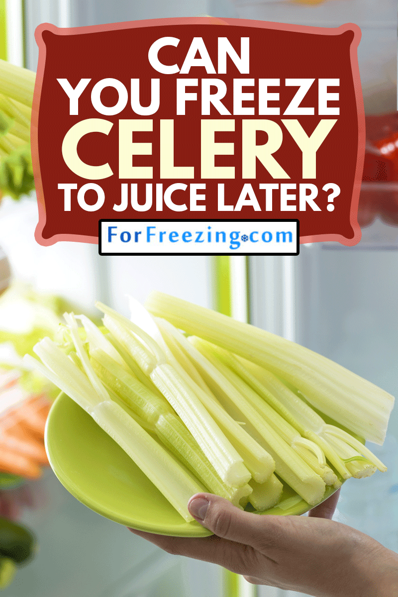Woman taking some fresh celery from the fridge and preparing an healthy meal at home, Can You Freeze Celery To Juice Later?