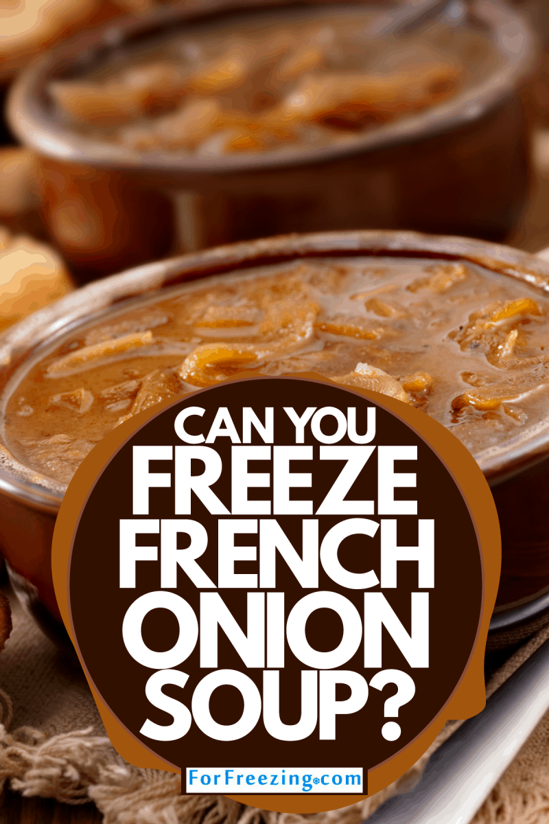 A deliciously cooked French Onion soup served on a small ceramic bowl, Can You Freeze French Onion Soup?