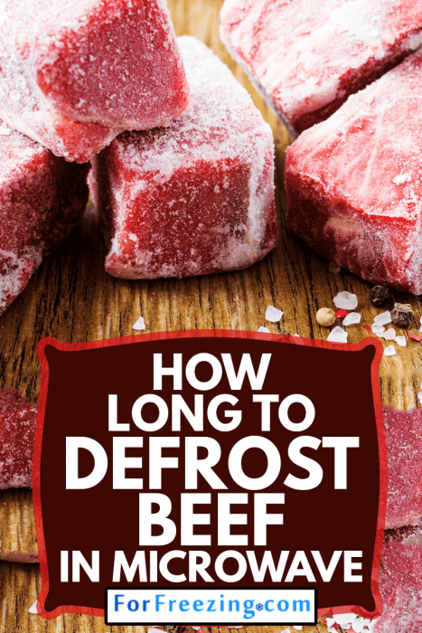 How Long To Defrost Beef In Microwave – ForFreezing.com