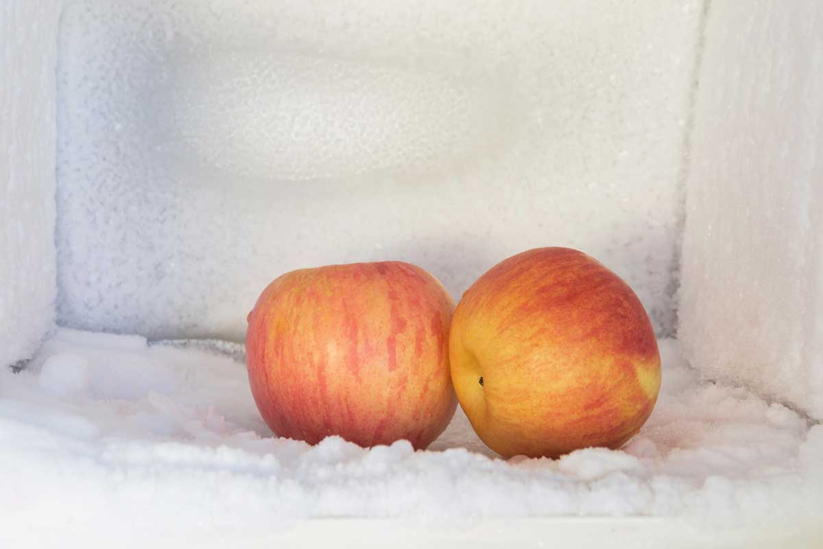 Red apples in freezer of a refrigerator, Can You Freeze Apples For Smoothies? [Inc. 5 Great Recipes!]