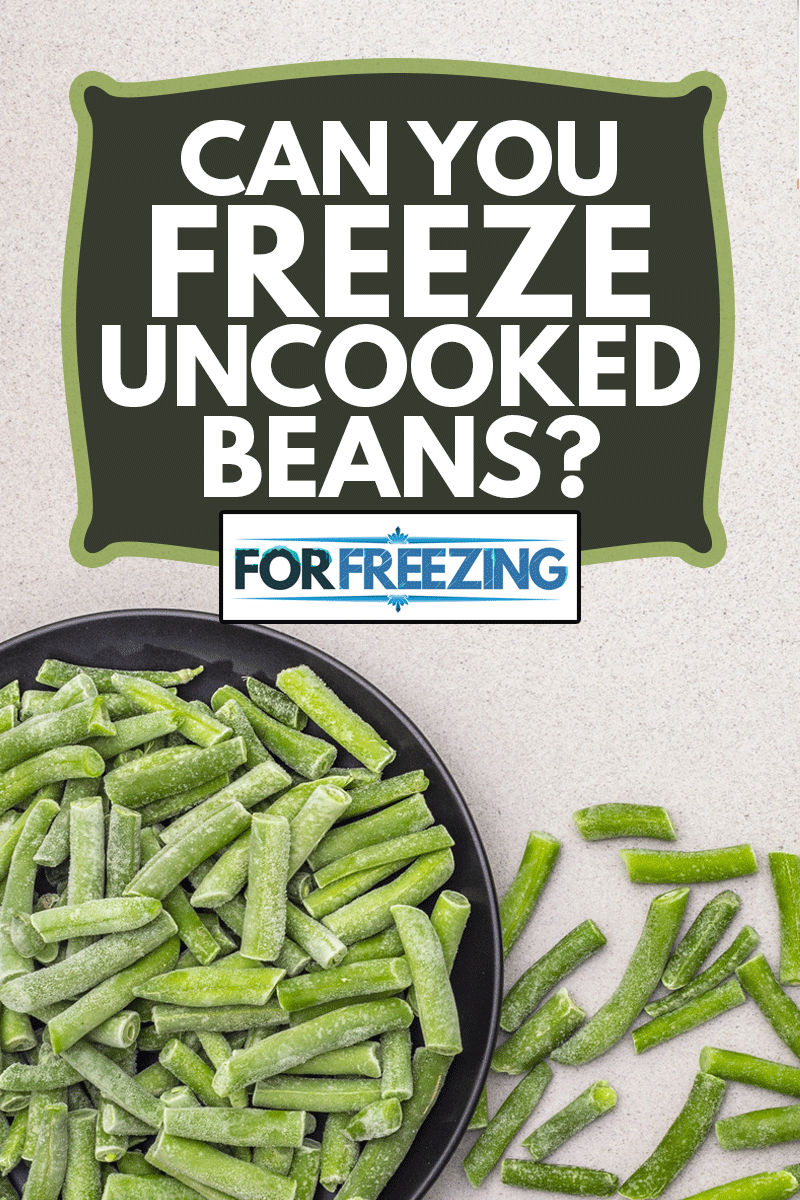 Frozen organic green beans. Healthy food concept, cooking background. In a plate on a stone background, top view, Can You Freeze Uncooked Beans?