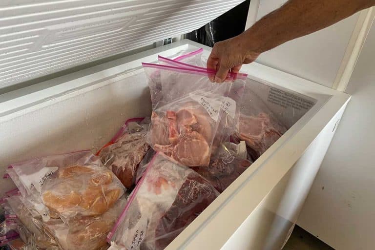 Freezer in a home for portioned frozen meats and meals, How Long Does A Chest Freezer Last?
