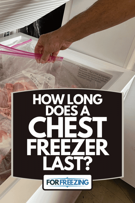 A man's hand holding some frozen goods inside a ziplock bag from a chest freezer, How Long Does A Chest Freezer Last?