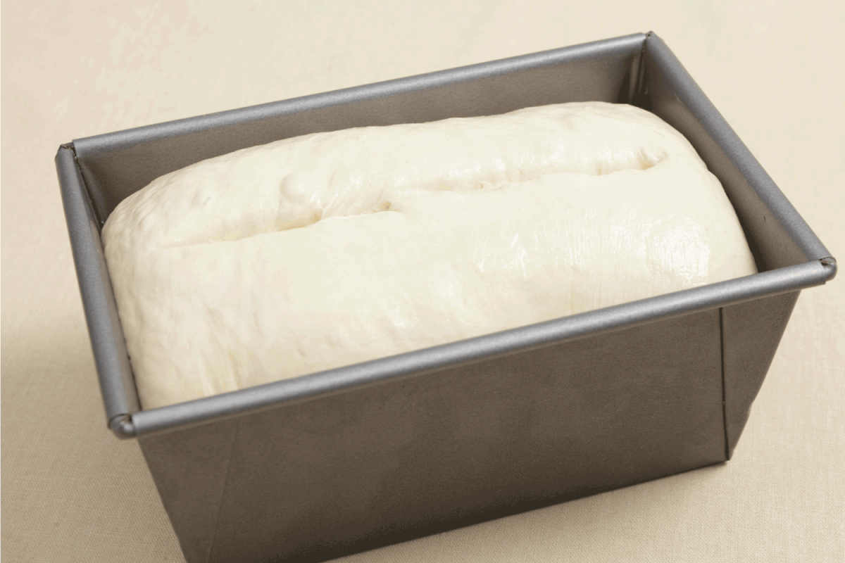 Risen bread dough in a tin