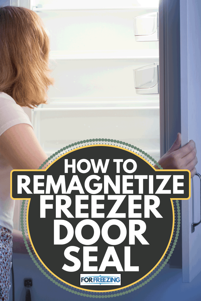 Teen girl by the empty fridge. How To Remagnetize Freezer Door Seal