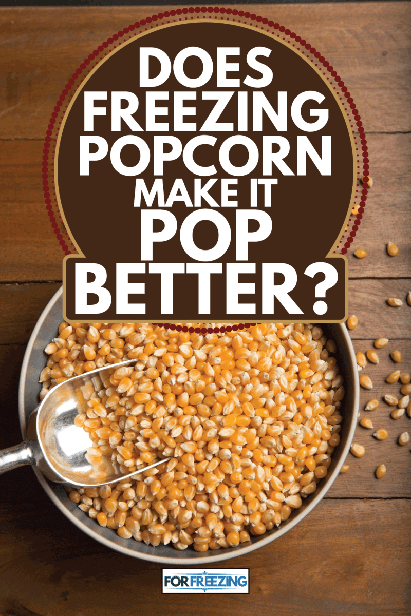 Uncooked Popcorn kernels background above view. Does Freezing Popcorn Make It Pop Better