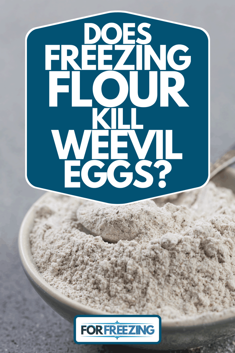 A glutenfree buckwheat flour for baking in the bowl on gray background, Does Freezing Flour Kill Weevil Eggs?