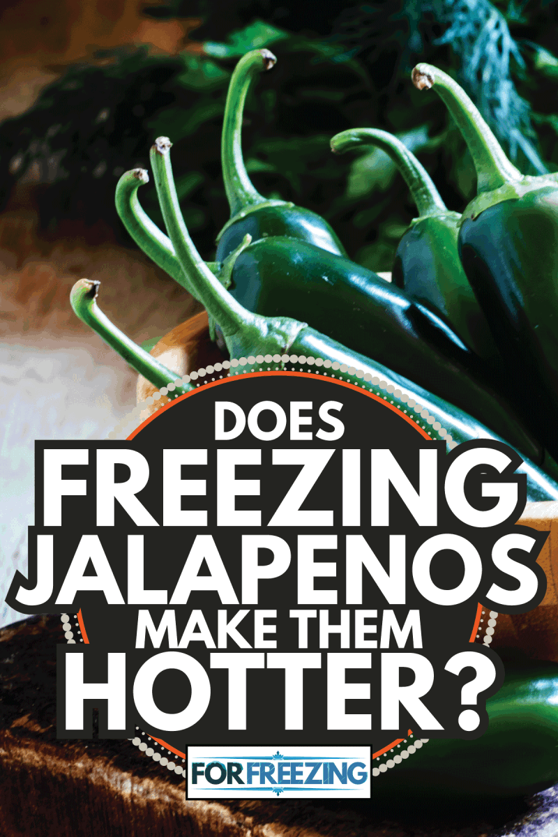 Hot green jalapeno peppers in bowl. Does Freezing Jalapenos Make Them Hotter