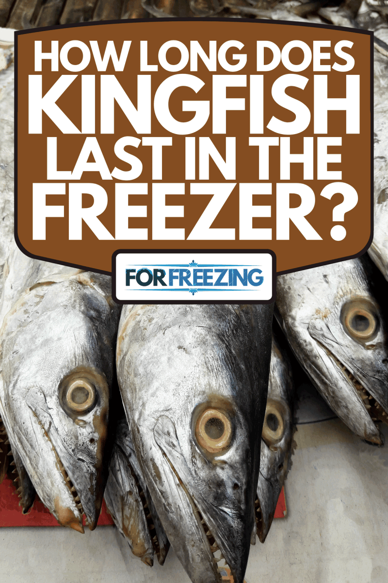 A group of Pacific King Mackerel Fish at seafood market, How Long Does Kingfish Last In The Freezer?