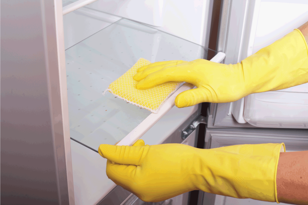 hands with yellow rubber gloves cleaning freezer. How To Clean Your Freezer Ice Maker