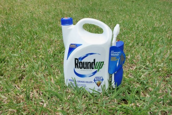 Round up weed killer placed on the grass, Does Weed Killer Go Bad If Frozen?