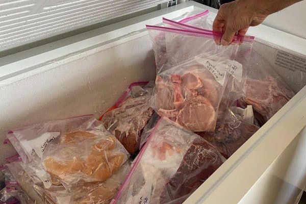 Freezer in a home with portioned frozen meats, How Much Power Does A Chest Freezer Use?
