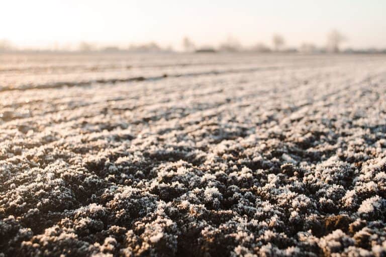 Plowed frozen soil at a farm, How Deep Does The Ground Freeze In Winter?