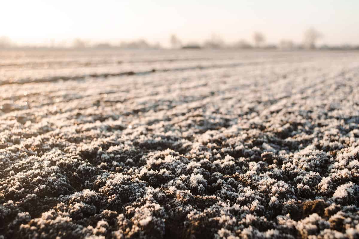 Plowed frozen soil at a farm