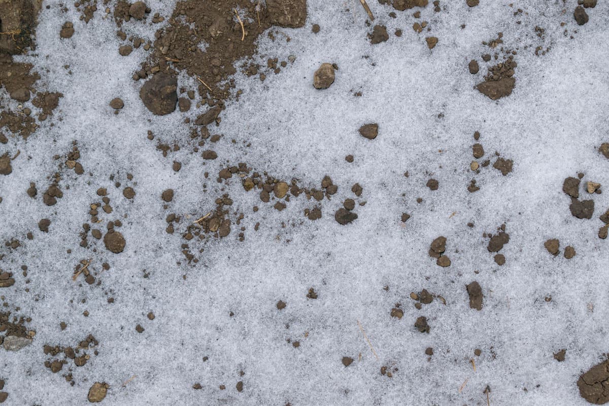 Snow on the soil during winter