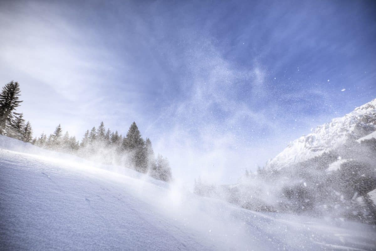 Powder snow suspended in mid-air just a split second after the action.