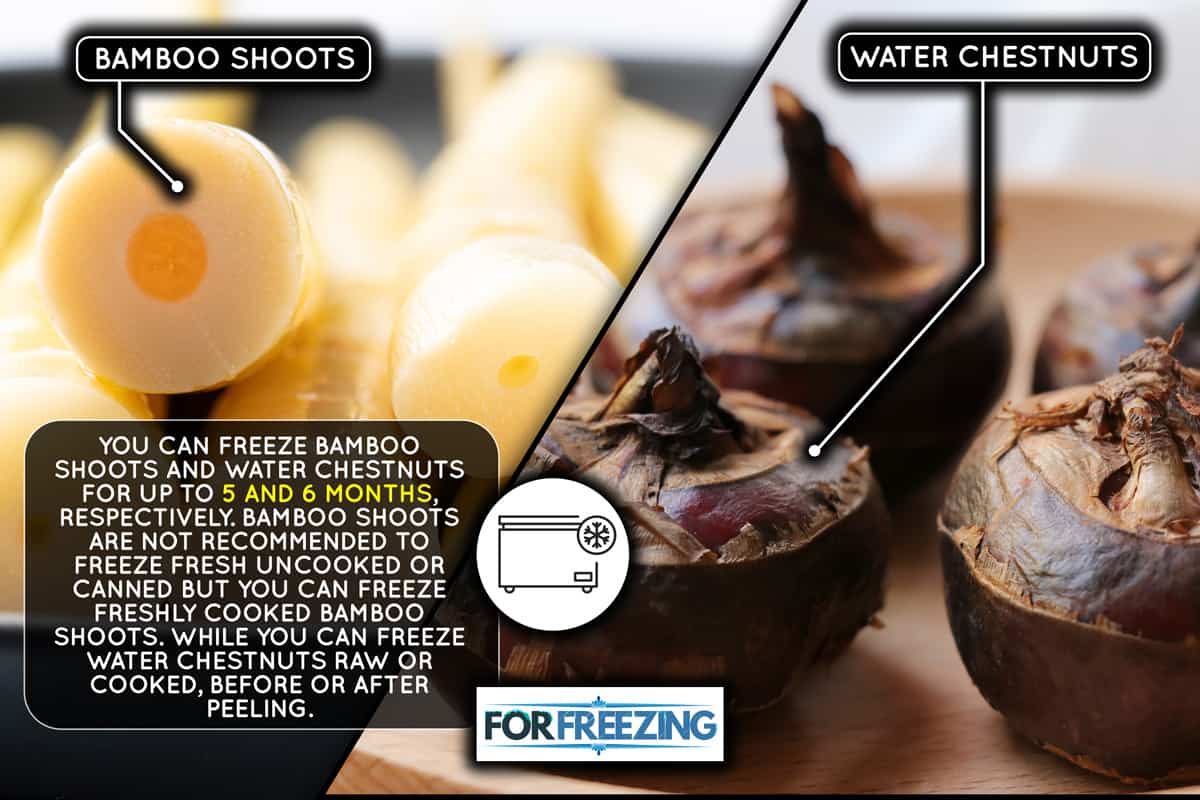Small bamboo shoots boiled in water and a water chestnut, Can You Freeze Bamboo Shoots And Water Chestnuts?