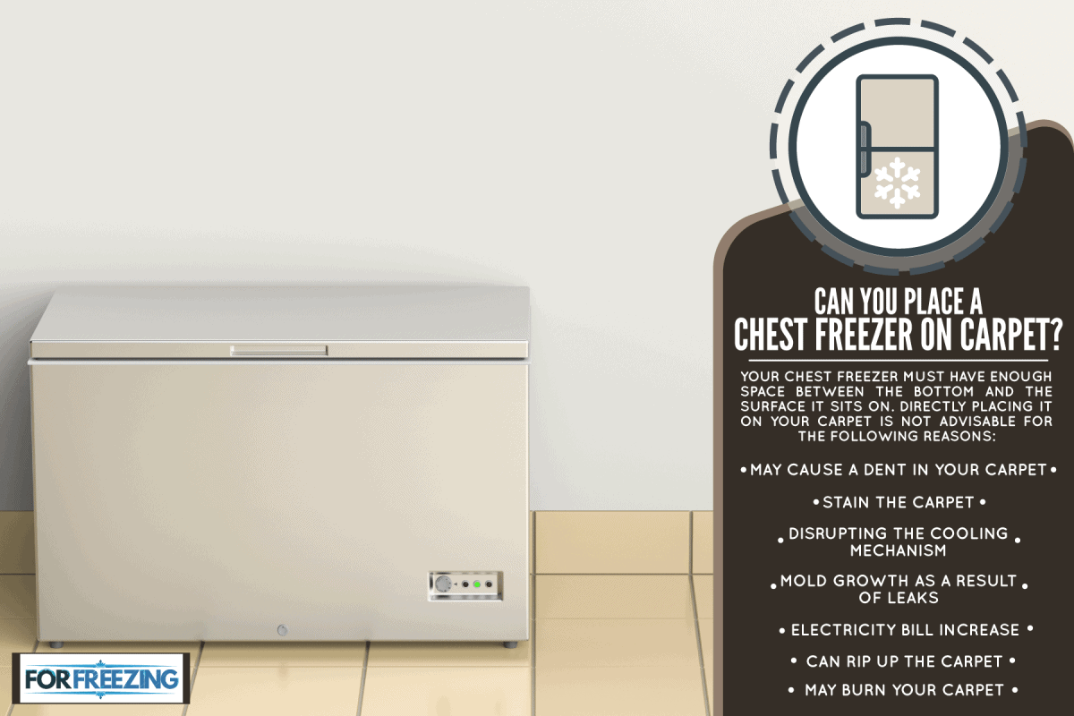 A chest freezer in the kitchen corner, Can You Place A Chest Freezer On Carpet?