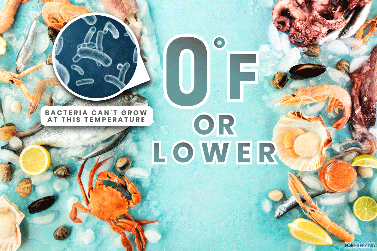 Fish and seafood background, a flat lay top shot with a place for text. Sea bream, How to store frozen food like a pro