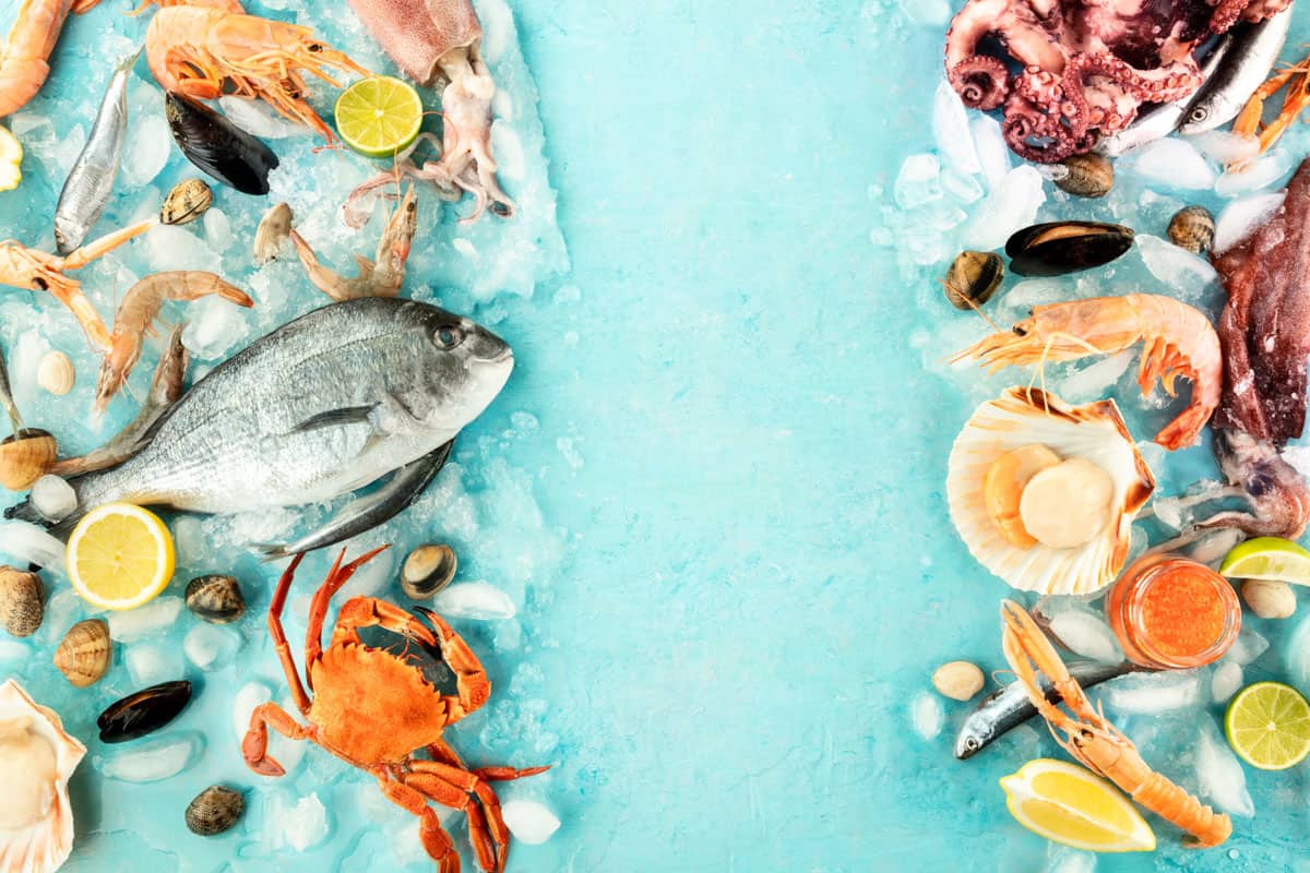 Fish and seafood background, a flat lay top shot with a place for text. Sea bream