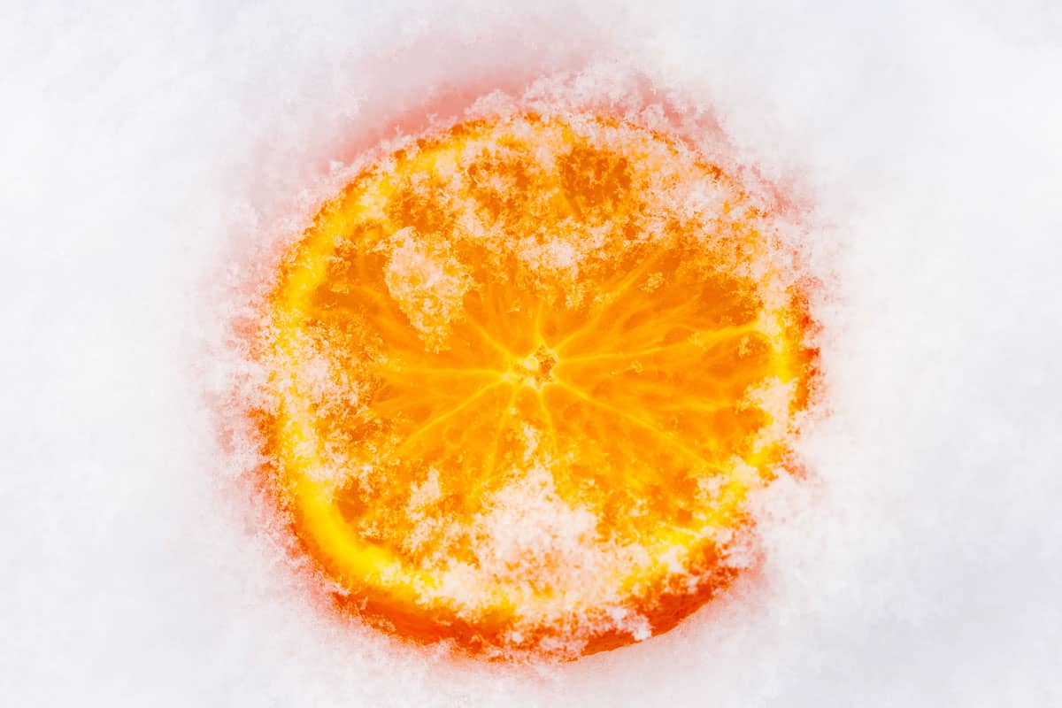 Up close photo of an orange