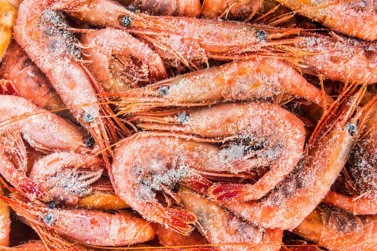 frozen shrimp in a box close up