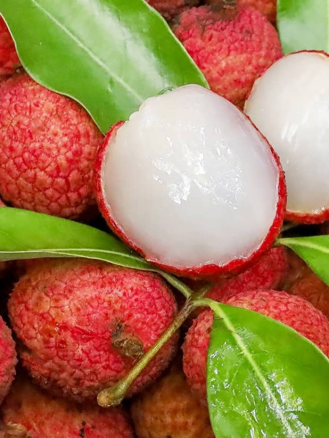 How To Thaw Lychee